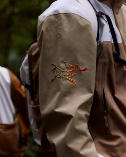 A person wearing a jacket with a dinosaur design on itDescription automatically generated